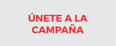 Construyendo el voto seguro